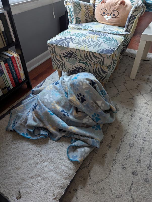 Sleeping under his blanket