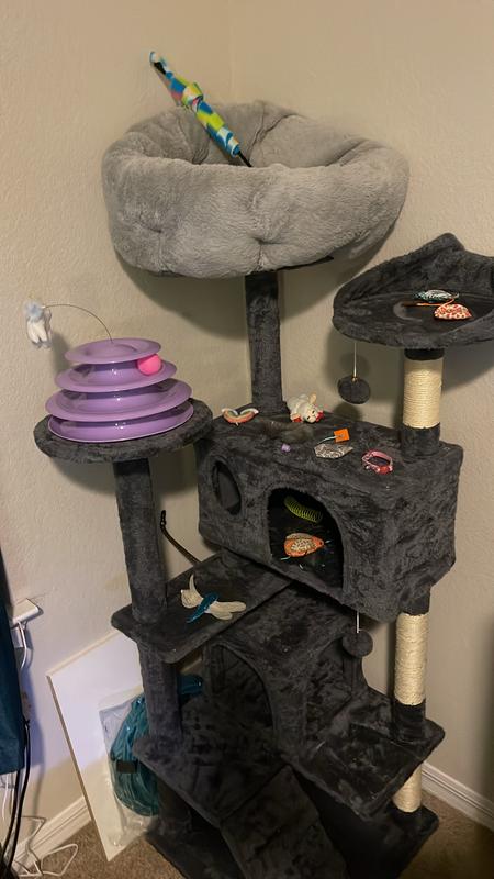 One location I have place it is on her Taj Mahal tower