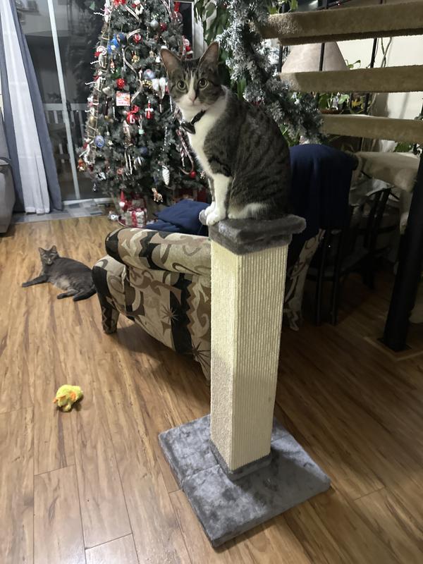 FRISCO 33.5in Sisal Cat Scratching Post, Brown