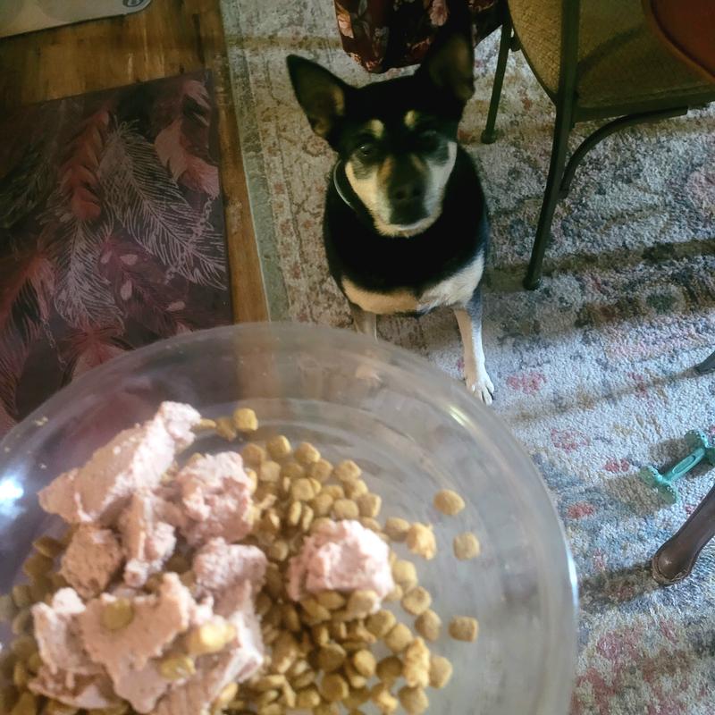 Chopping the product up didn't help girl eat it. She still was not a fan.