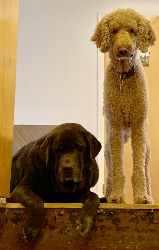 Did you get THE treats???