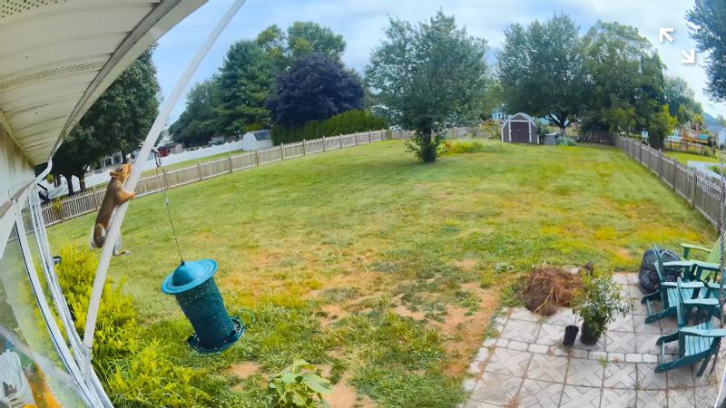 Camera, camera side, box contents, battery, battery install, picture quality