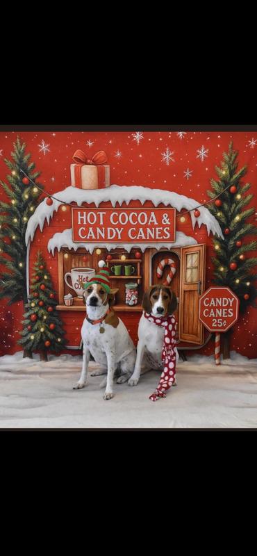 After the calming treat