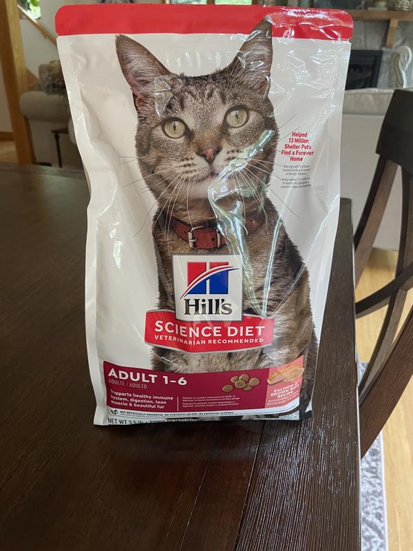 Hill's Science Diet Adult Salmon & Brown Rice Recipe Dry Cat Food