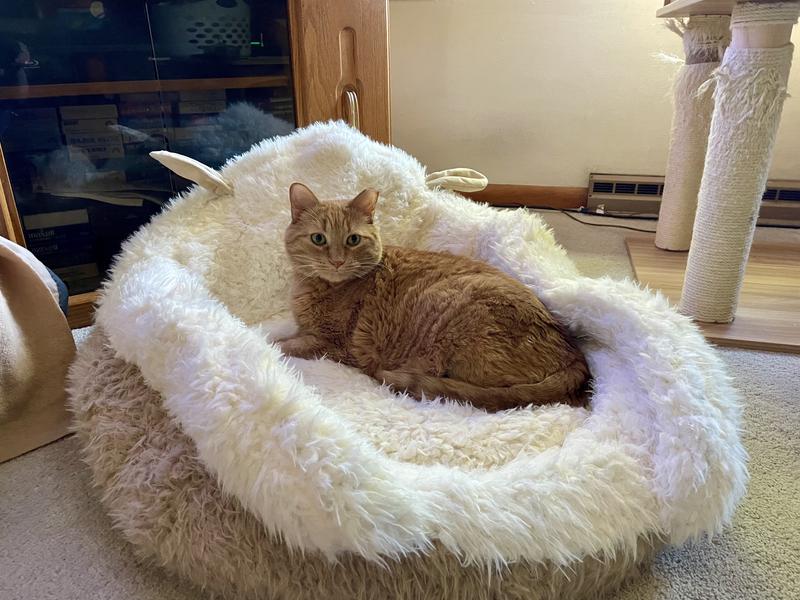 Rufus