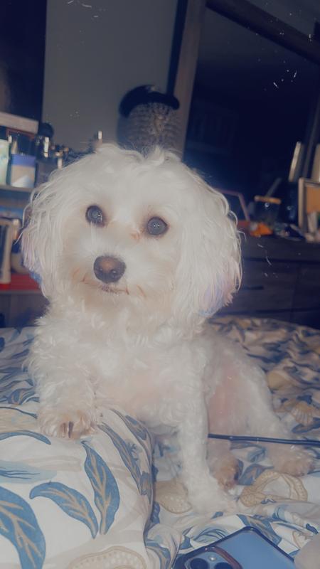 my little picky eater