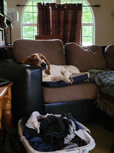 My lazy boy!