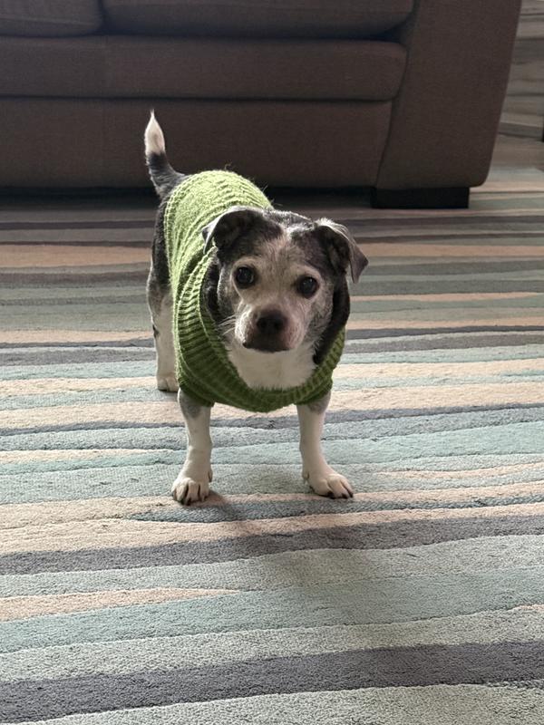 Loves her new high quality senior food