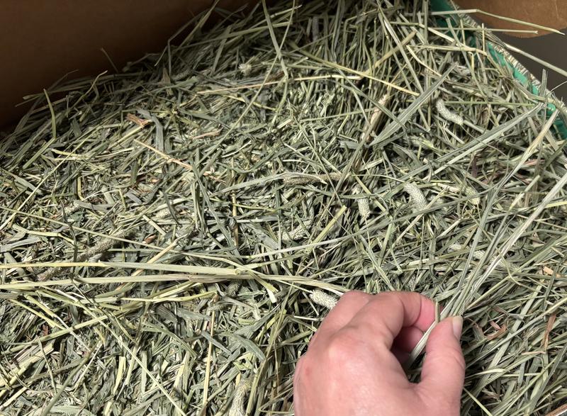 Rigid stems