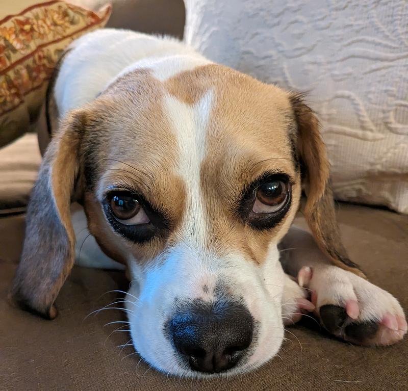 Looking out for our girlish figure…