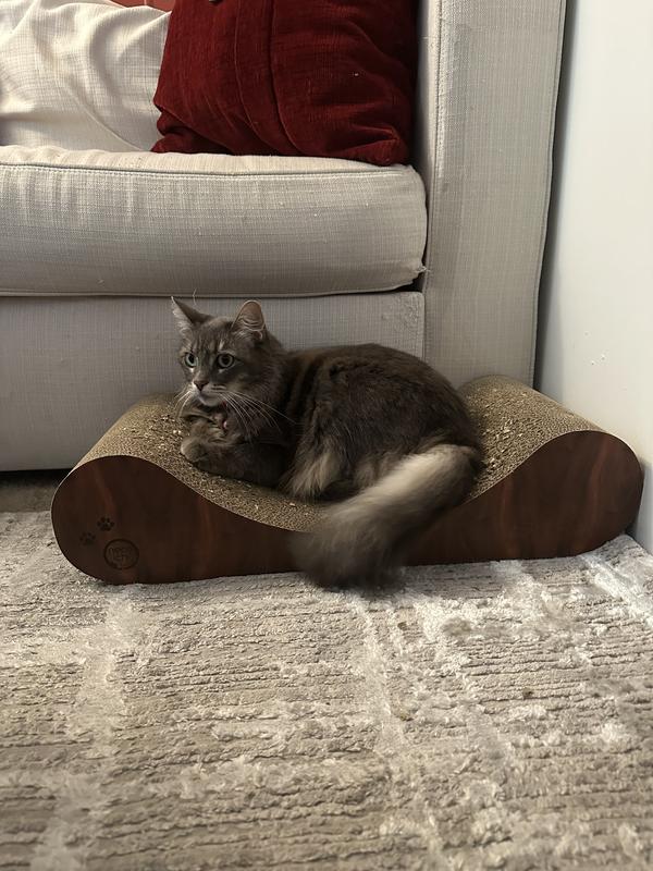Luna on top!