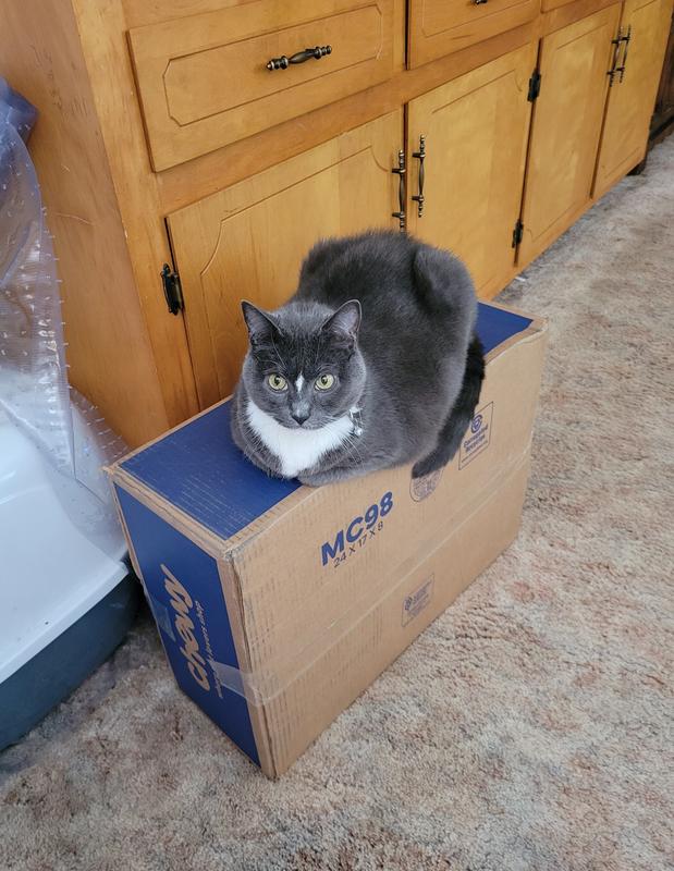 VAN NESS Ecoware NonSkid Cat Dish, Blue, 8oz