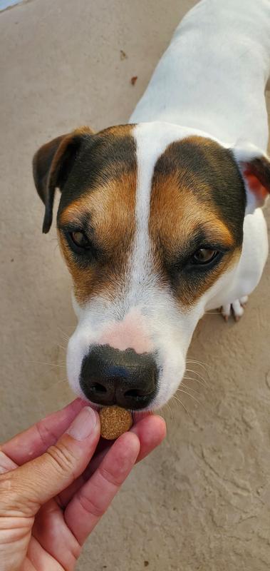 He likes the taste. Easy to provide dose