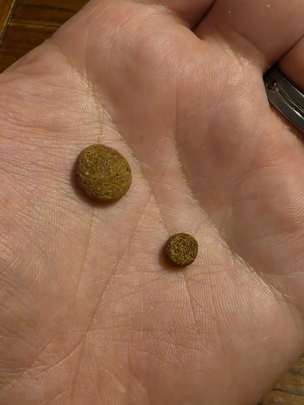 From large to small, no warning 😔