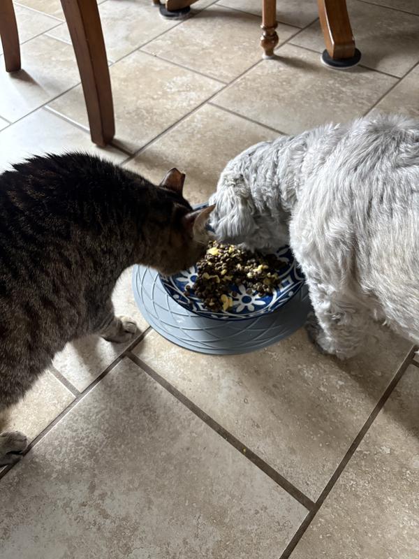 Bo checking to see if there’s anything for him.