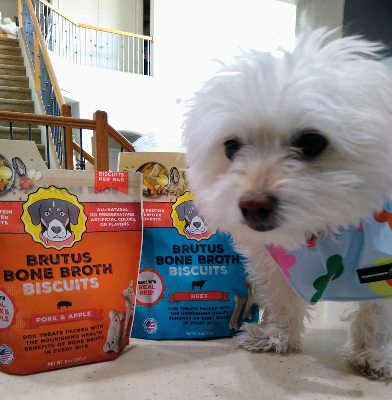 Bella with her Brutus Bone Broth biscuits