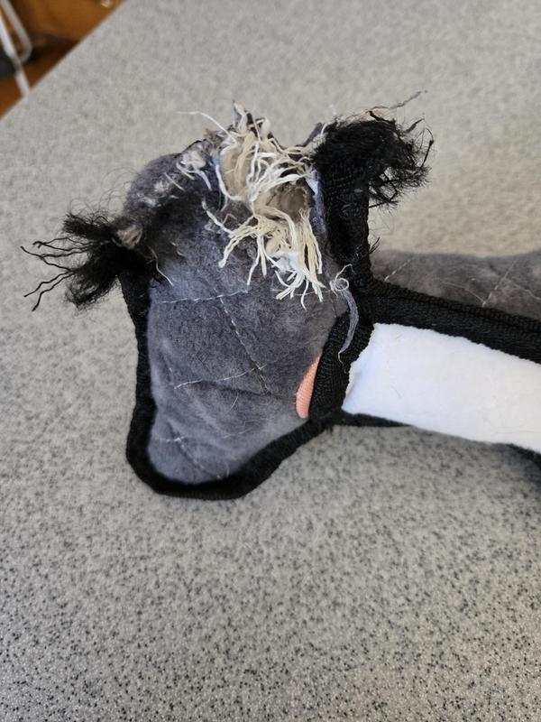 Hammerhead Shark, $26.99 for less than 10 minutes play time