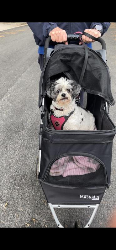 Paws and clearance pals jogger stroller