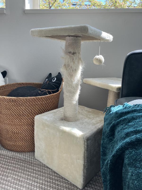 ❀antique cat˚✧₊専用❀8/3までお取り置き ❀antique cat˚✧₊専用❀8