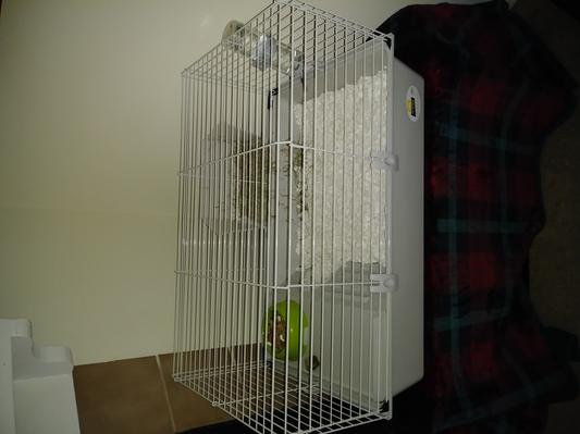 Ferplast cavie Guinea Pig Cage & Rabbit | Pet Includes All Grey