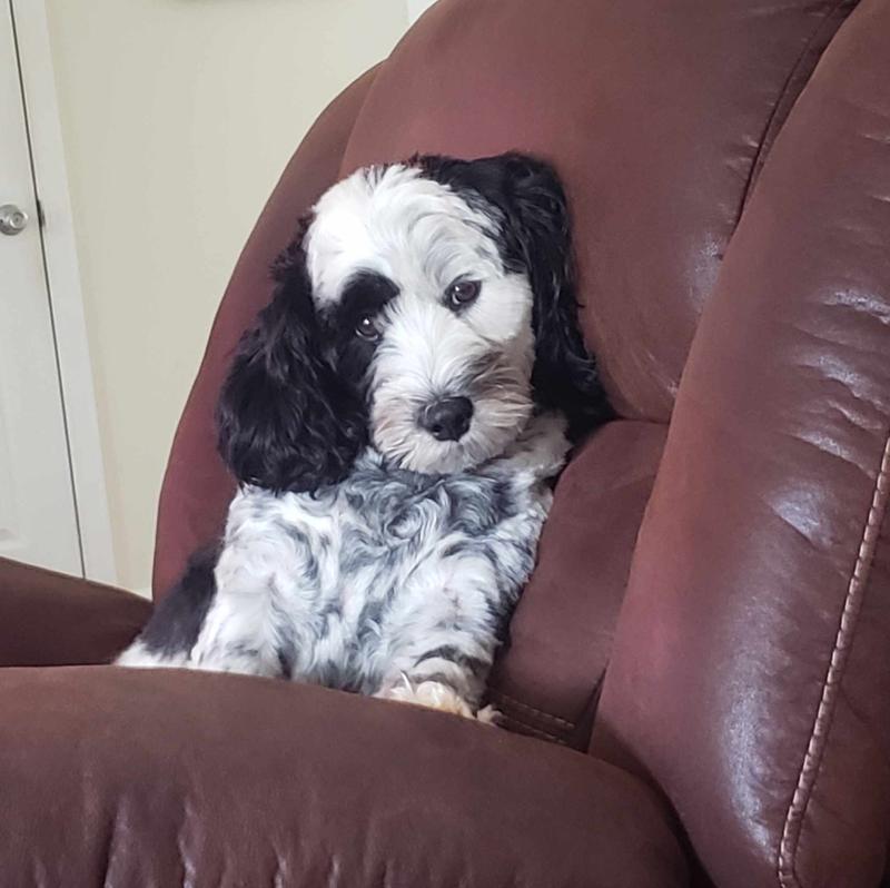 Is it time, is it time???