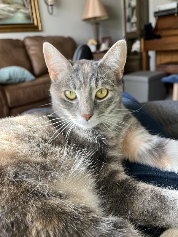 Just relaxing! She’s so sweet!