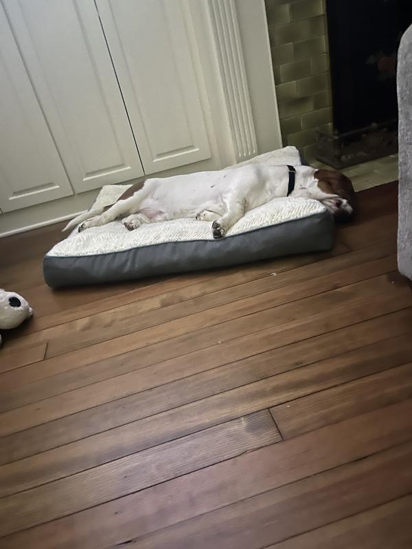 Totally happy at peace