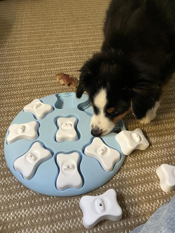 Loving my new Salmon flavored food!