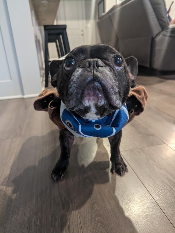 Showing the dome caved in