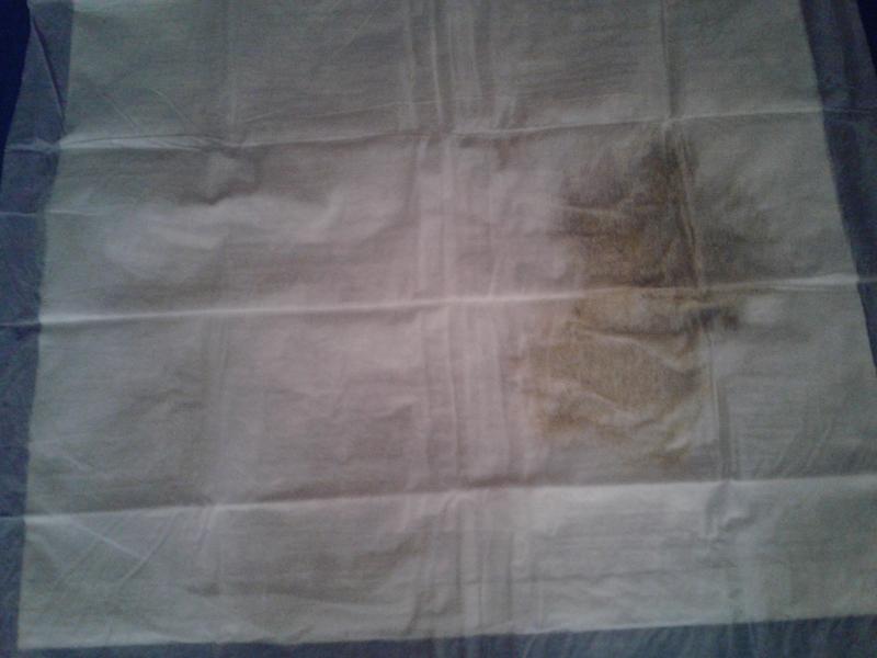 ALLABSORB Silicone Training Pad Holder