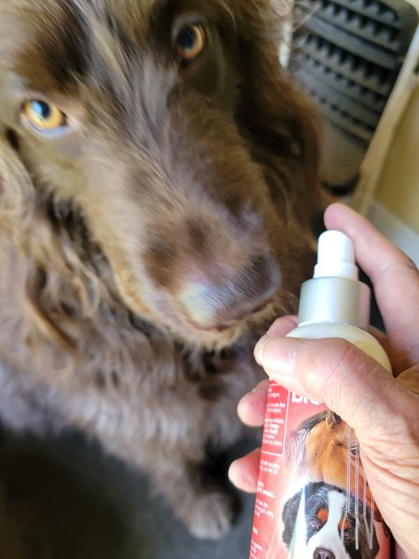 Porter was first in line when I got the bottle out!