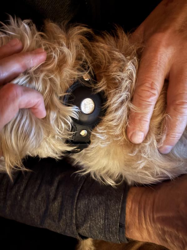 AirTag showing through the hole