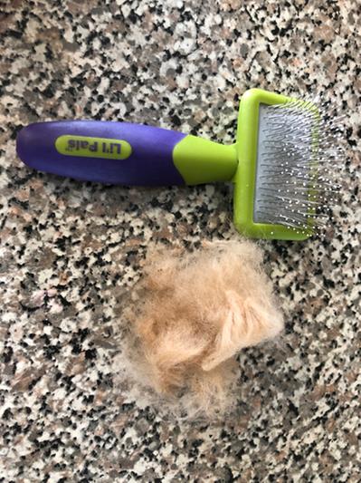 Lil Pals Dog Slicker Brush with Coated Tips - W6202 NCL00