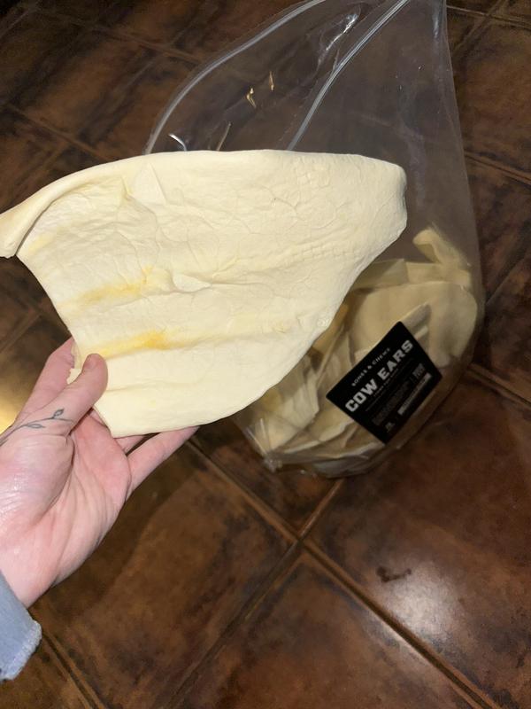 whole ear, most are larger than my hand