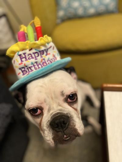 Dottie's first birthday!