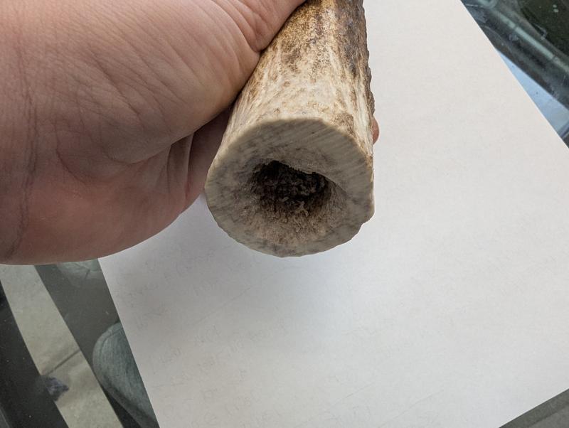 The damage after nearly a month of frequent chewing by two GSD mixes