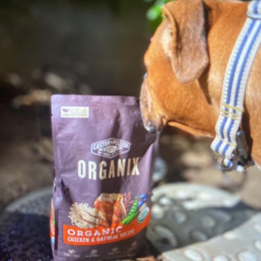 Organix chicken and 2024 oatmeal dog food