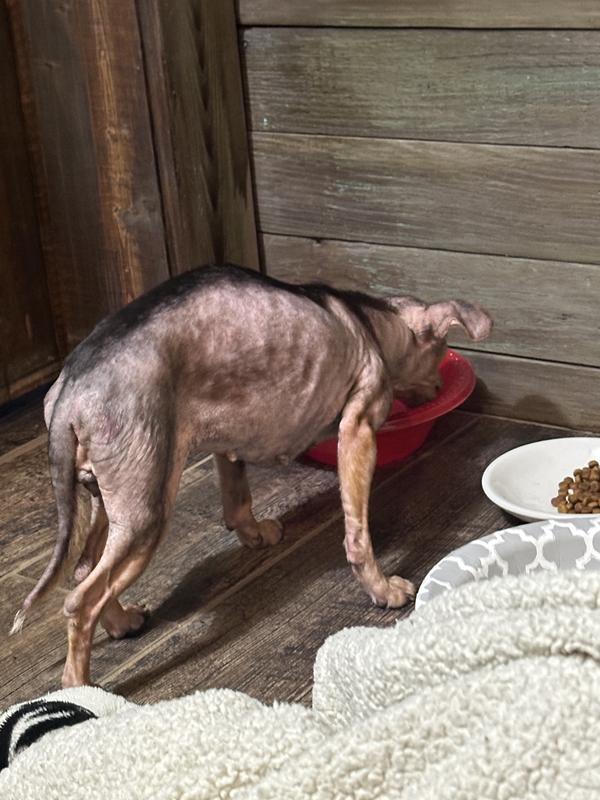 This is her when rescued her