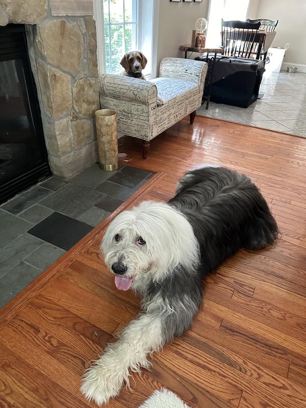 140 pounds and 7 years old - this product helped be comfortable