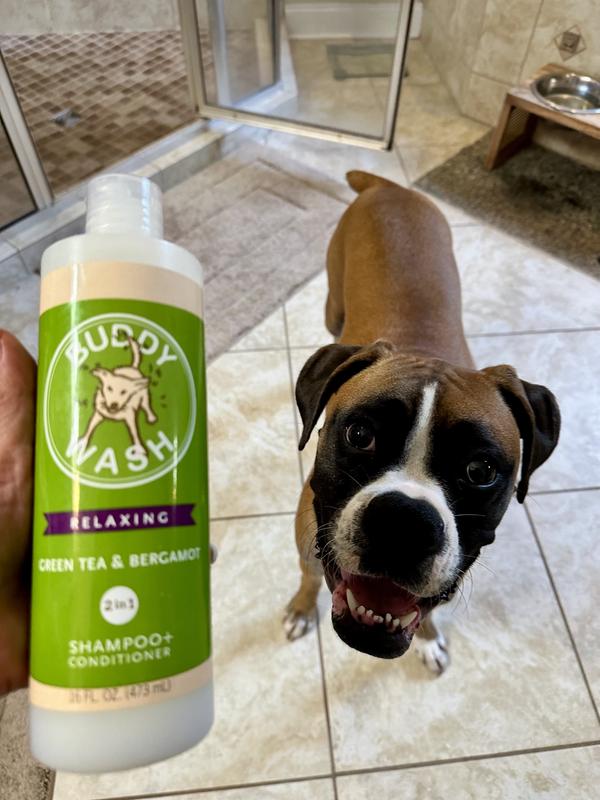 BUDDY WASH Relaxing Green Tea & Bergamot Dog Shampoo & Conditioner, 16 ...