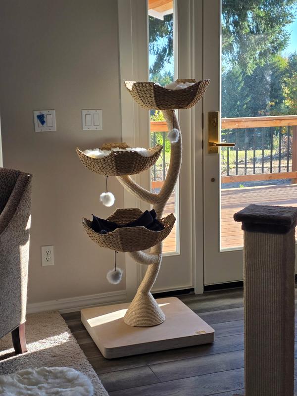 We removed the beautiful pillow so Tom would fit.