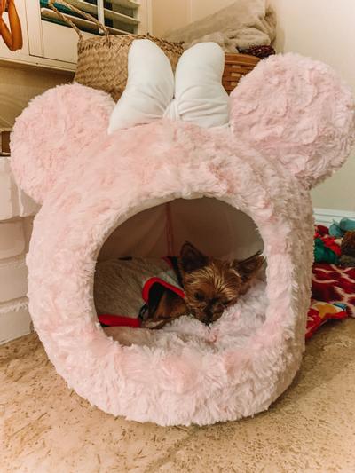 Minnie mouse 2024 cat bed