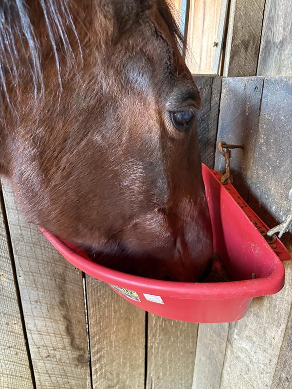 He decides to give it a try, and YUM!