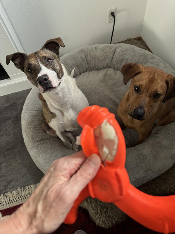 A favorite for the short time it lasted.