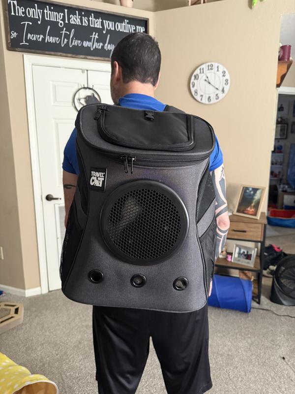 Inside the backpack ready for our walk