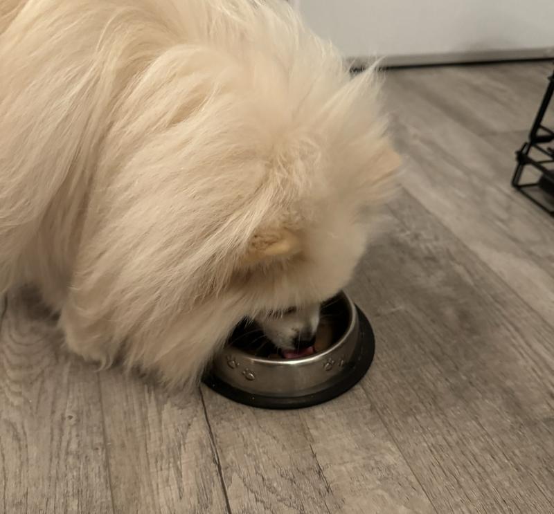 STELLA & CHEWY'S FreezeDried Raw Meal Mixers GrainFree Protein Rich