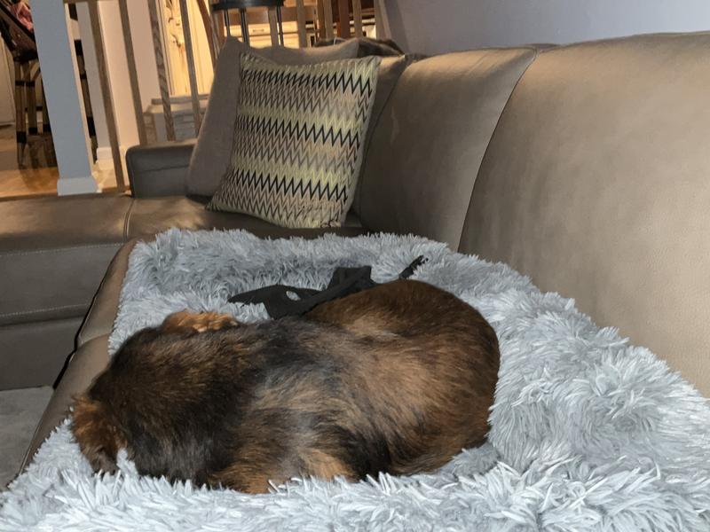 Frisco Faux Long Fur Bolster Cat & Dog Couch Cover