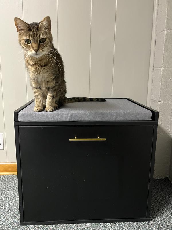 FRISCO Drop Down Door Bench Cat Litter Box Cover