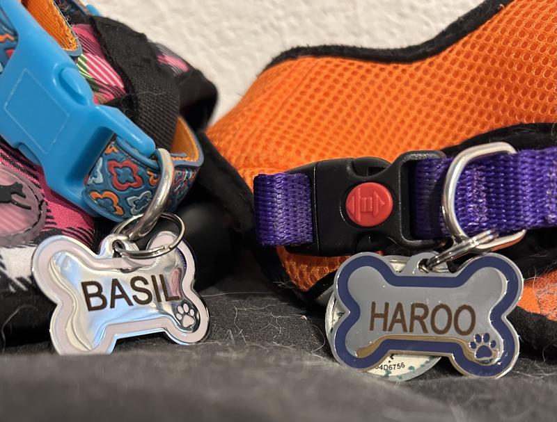 Great looking name tags!