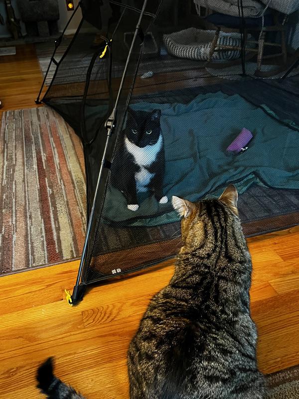 Tucky and Twixx